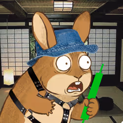 237