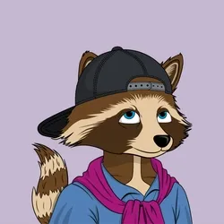 Mega Raccoons