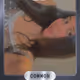 811