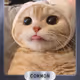 111