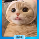 112