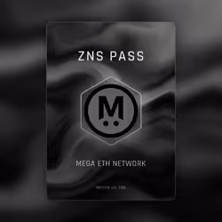 ZNS Pass