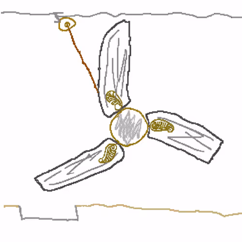 Crazy Fan