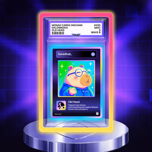 Item #495 Media