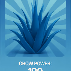Aloe