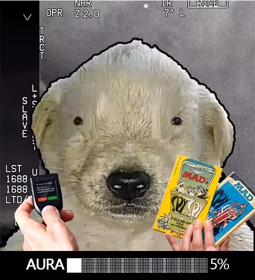 Item #304 Media