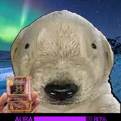 123
