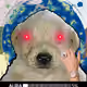 382
