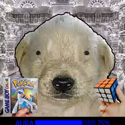 204
