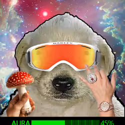 615