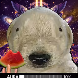 91