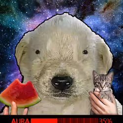 365