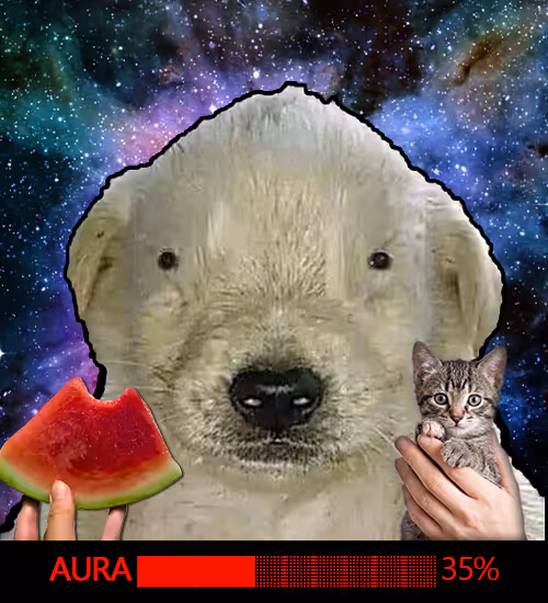 Item #365 Media