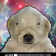426