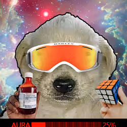 300