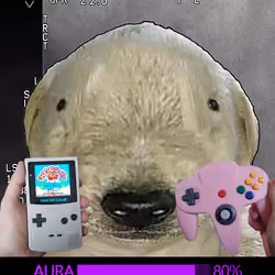 303