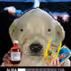 448