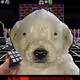 326
