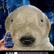 424
