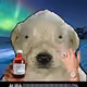 444