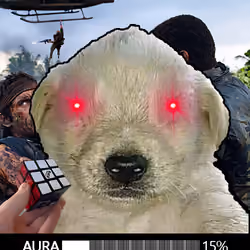 623