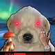 364