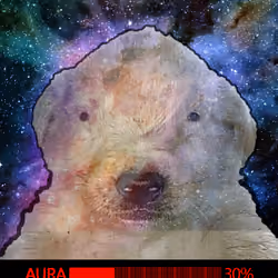 531