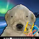 179