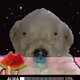 620