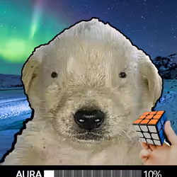 396