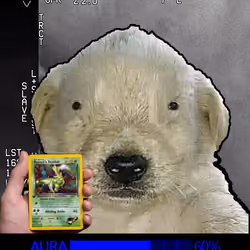 40