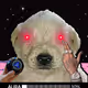369