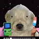 266
