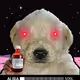 521