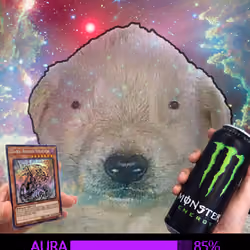101