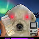 487