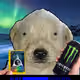 436