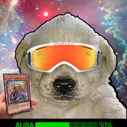 509
