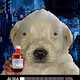 635