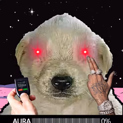 223