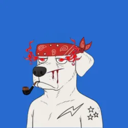 554
