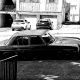 Auto Legends #308