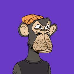 66