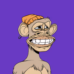 523