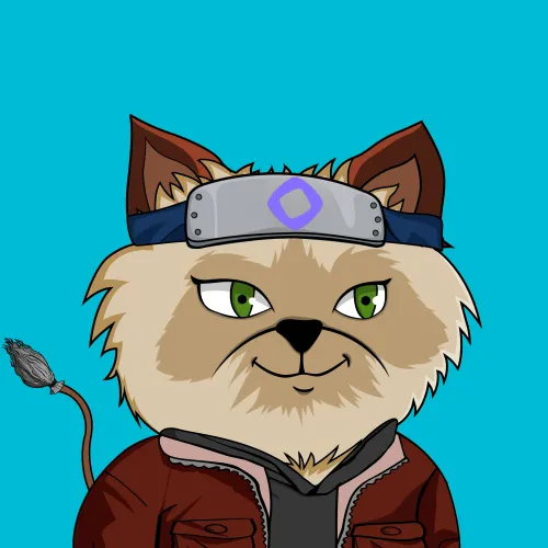 Monad Cats #351