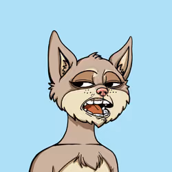Bored Cat Yacht Club #2075