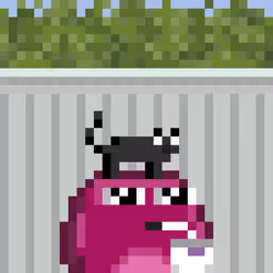Item Media