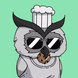 204