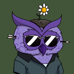 145