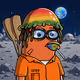 Bob #461
